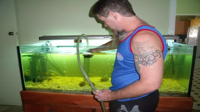 how to clean a fish aquarium with fish in it