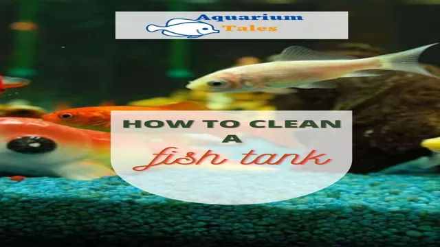 How to Clean a Freshwater Aquarium: Tips and Tricks | Pinterest.com