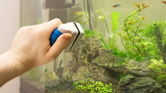 how to clean a large freshwater aquarium