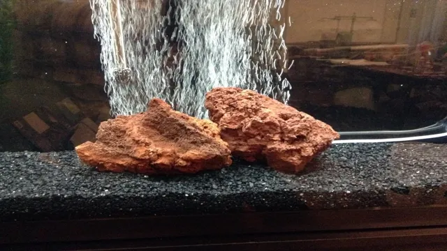 How to Clean a Lava Rock for Aquarium: Step-by-Step Guide