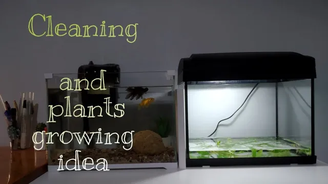 how to clean a live planted aquarium