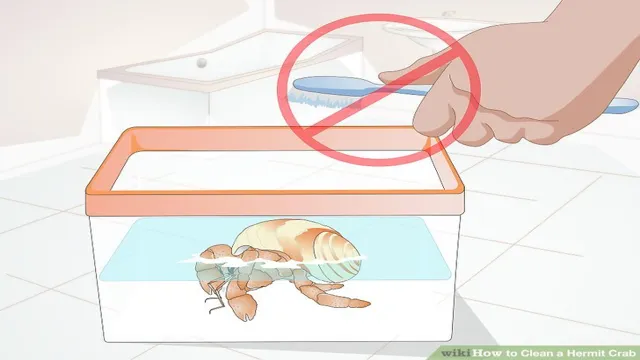 how to clean a moldy hermit crab aquarium