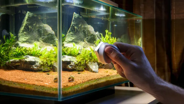 how to clean a planted freshwater aquarium
