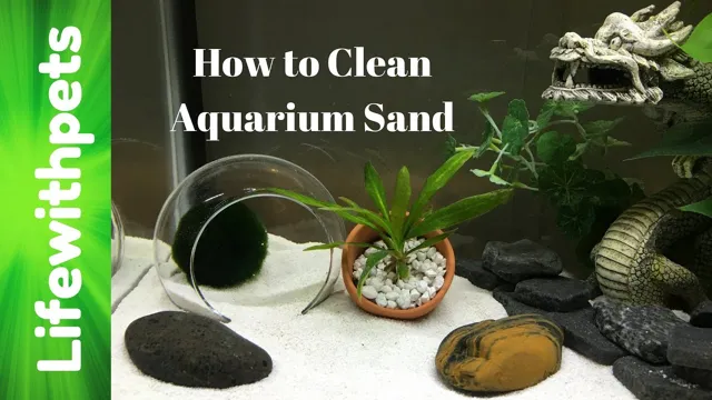 how to clean a saltwater aquarium with sand in it