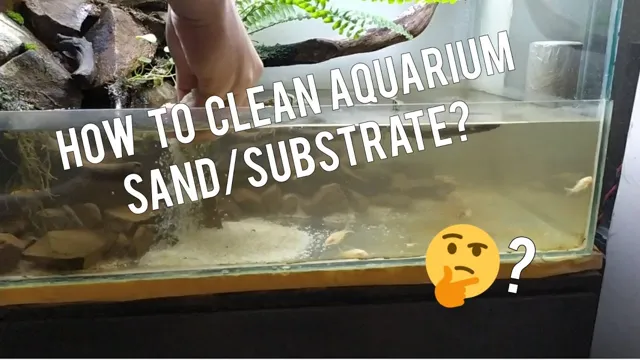 how to clean a sand substrate aquarium