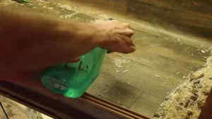 how to clean a snake aquarium