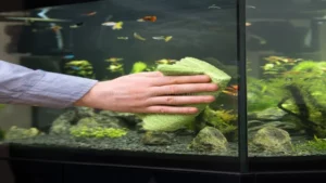 how to clean a used aquarium glass