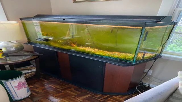 how to clean a very dirty 50 gallon aquarium