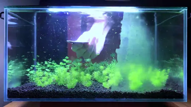 how to clean acrylic aquarium without scratching