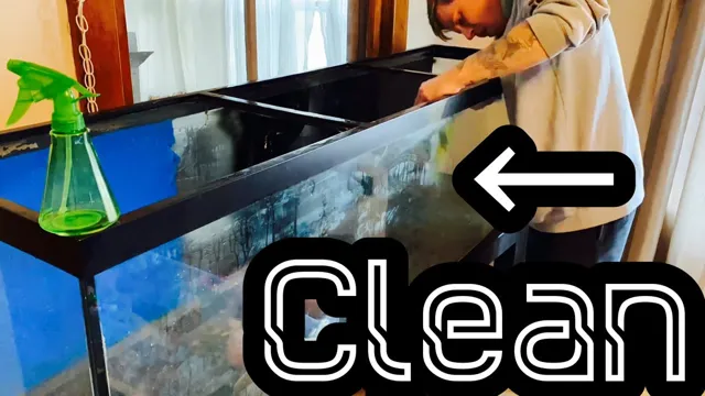 How to Clean Acrylic Glass Aquarium: 5 Steps for Sparkling Clear Water