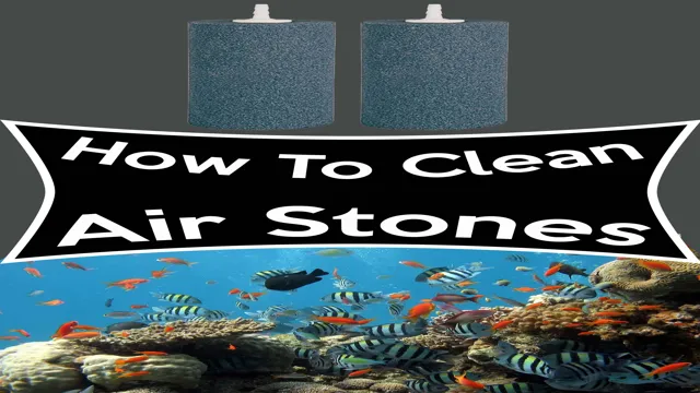 How to Clean Air Stone in Aquarium: Tips and Tricks for Sparkling Water