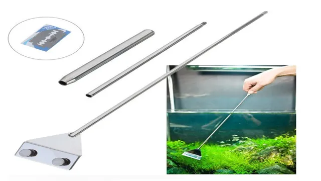 how to clean algae from aquarium filter tubing