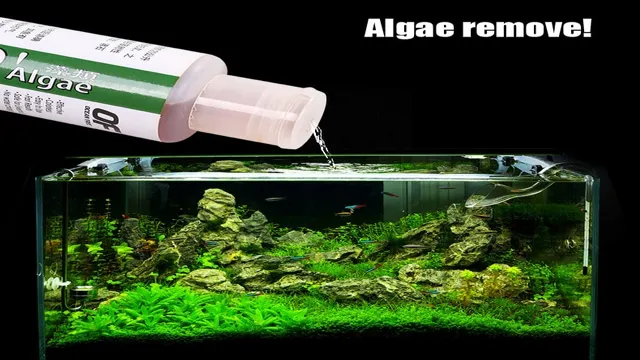 how to clean algae from aquarium plants