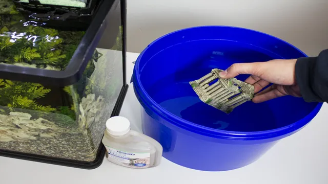 how to clean algae off aquarium filter