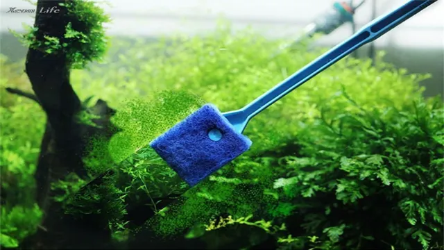 How to Clean Algae off Artificial Aquarium Plants: Efficient Tips and Tricks