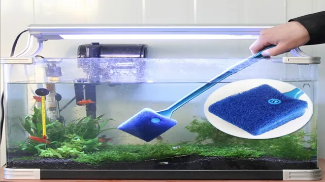 how to clean algae off inside fish aquarium