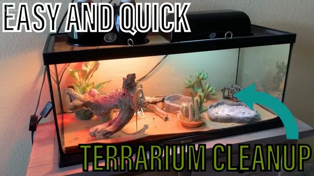 How to Clean an Aquarium for a Bearded Dragon: The Ultimate Guide