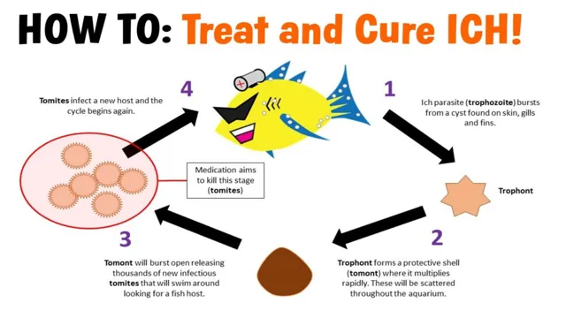 How to Clean an Aquarium Infected with Ich: A Step-by-Step Guide