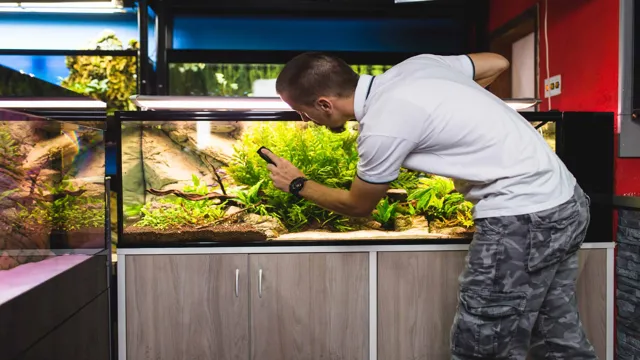 how to clean an aquarium thats been aquascaped