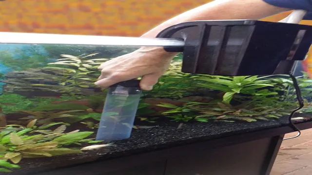 How to Clean an Aquarium with Soil Substrate: A Step-by-Step Guide