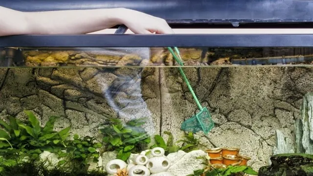 how to clean an aquarium without a siphon