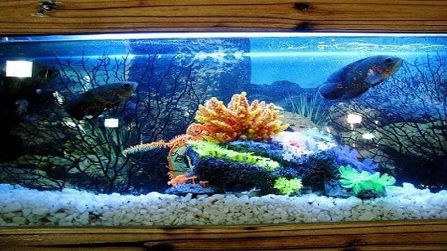 How to Clean an Aquarium Without a Siphon: The Ultimate Guide for Easy Maintenance