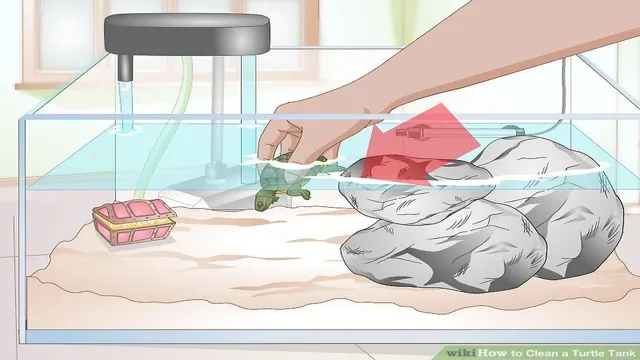 how to clean an aqutic turtle aquarium