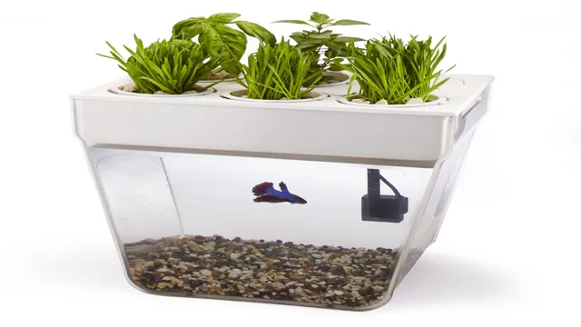 How to Clean an Indoor Aquarium Planter: Tips and Tricks for Sparkling Aquatic Plants