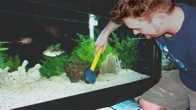 how to clean an old fish aquarium