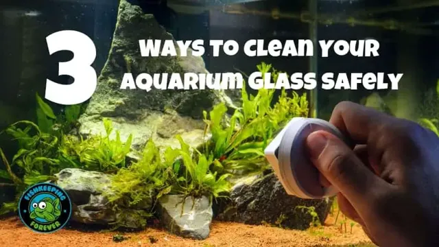 how to clean an old glass aquarium