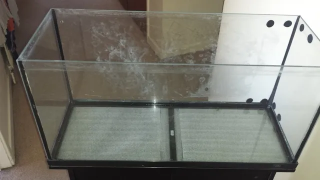 How to Clean an Old Glass Aquarium: Tips and Tricks for Sparkling Clear Water