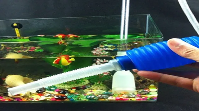 How to Clean Aquarium Accessories: Easy Steps for Sparkling Aquarium Gear