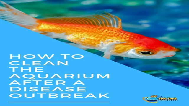 How to Clean Aquarium After Disease to Prevent Future Outbreaks