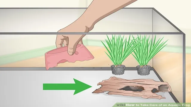 How to Clean Aquarium After Frog Died: A Step-by-Step Guide