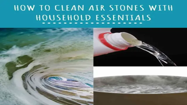 how to clean aquarium air stones