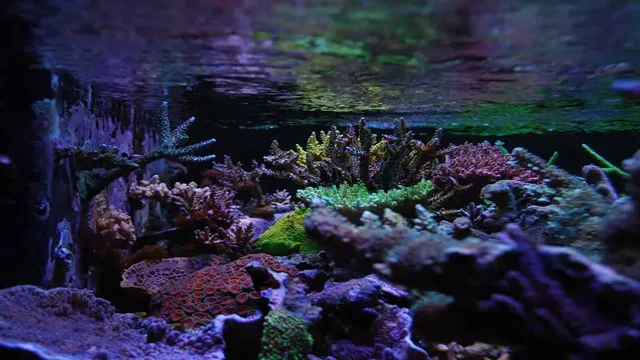 how to clean aquarium back glass