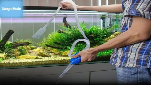how to clean aquarium bottom