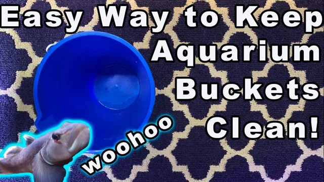 how to clean aquarium buckets