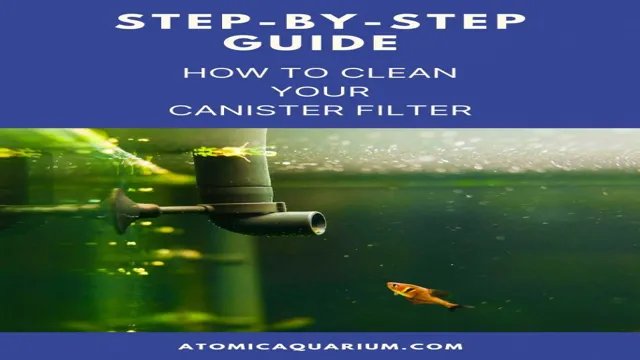 How to Clean Aquarium Canister Filter: Every Step You Need to…