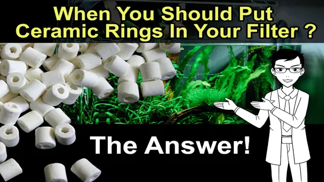 how to clean aquarium ceramic rings