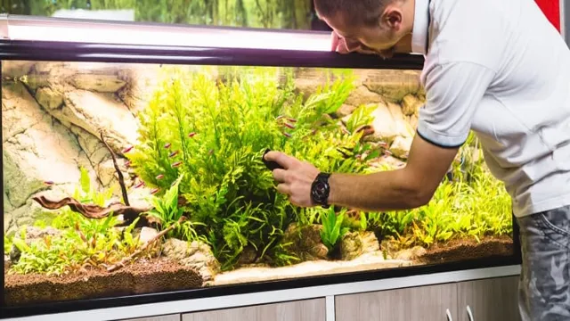 how to clean aquarium decorations with vinegar