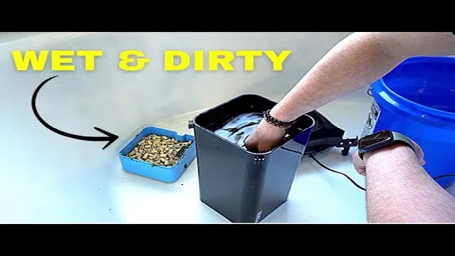how to clean aquarium filter cartridges
