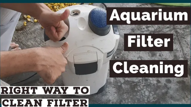 how to clean aquarium filter motor