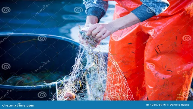 How to Clean Aquarium Fish Nets: Tips and Tricks for Sparkling Clean Nets