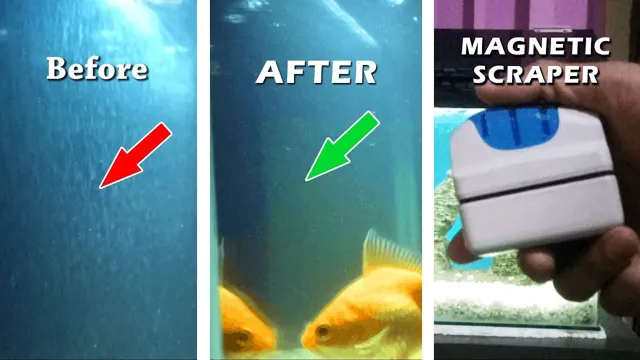 how to clean aquarium glass naturally