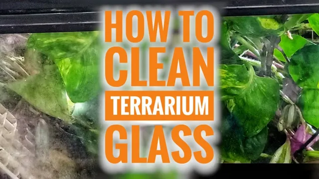 how to clean aquarium glass safely