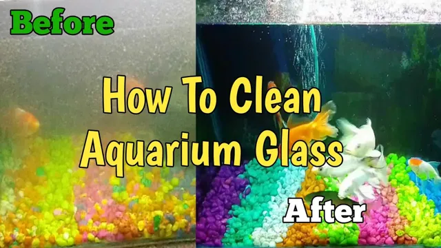 how to clean aquarium glass stains