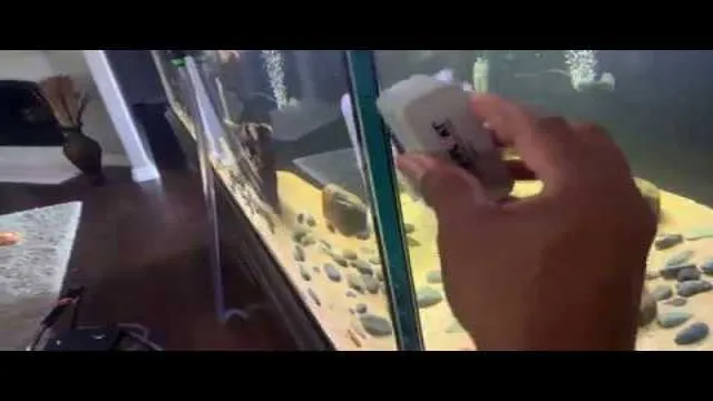 how to clean aquarium glass without scratching