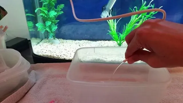 how to clean aquarium gravel with fish in it