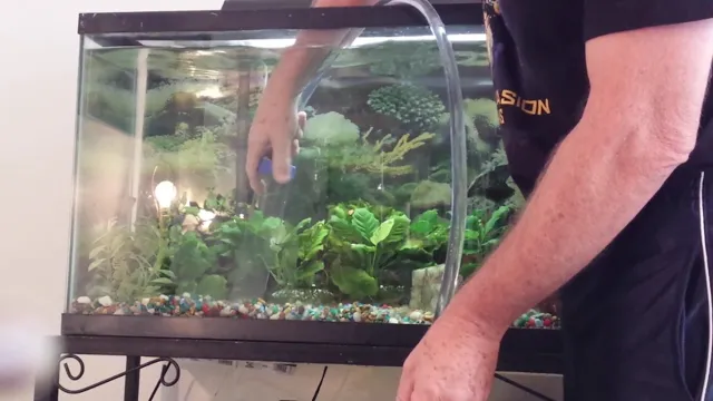 how to clean aquarium gravel with live plants